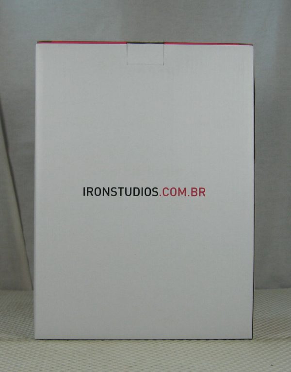 Iron Studios Catwoman 1/10 Statue Ivan Reis DC Comics NEW SEALED - Image 6