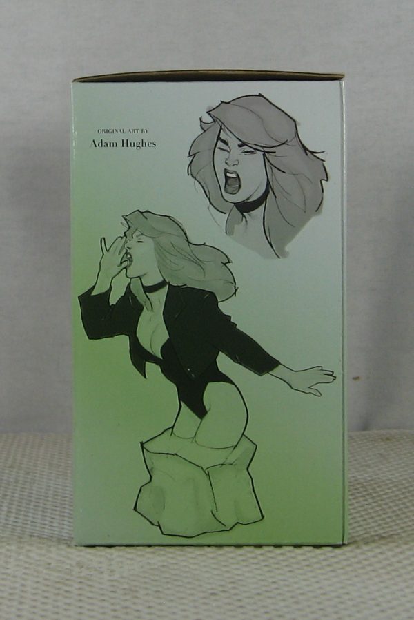 Black Canary Bust 4638/5000 Women of the DC Universe Hughes AH! NEW SEALED - Image 4