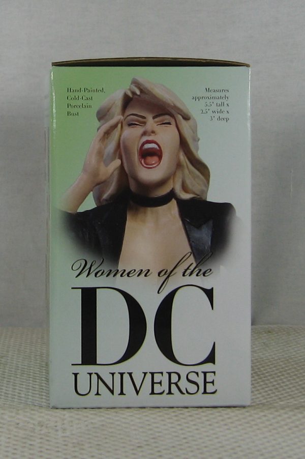 Black Canary Bust 4638/5000 Women of the DC Universe Hughes AH! NEW SEALED - Image 6