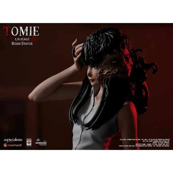 Junji Ito Collection Tomie Exclusive 1/6 Statue 211/750 Animegami NEW SEALED - Image 8