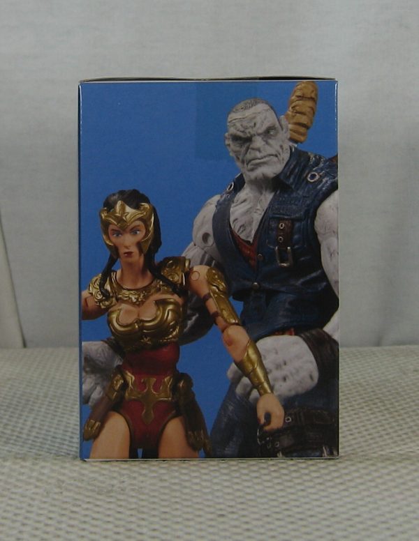 Wonder Woman vs Solomon Grundy Figure Set Injustice Gods Among Us NEW SEALED - Image 2
