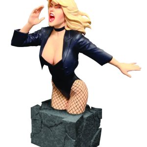 Black Canary Bust 4642/5000 Women of the DC Universe Hughes AH! NEW SEALED